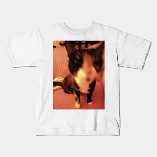 blurry cat Kids T-Shirt